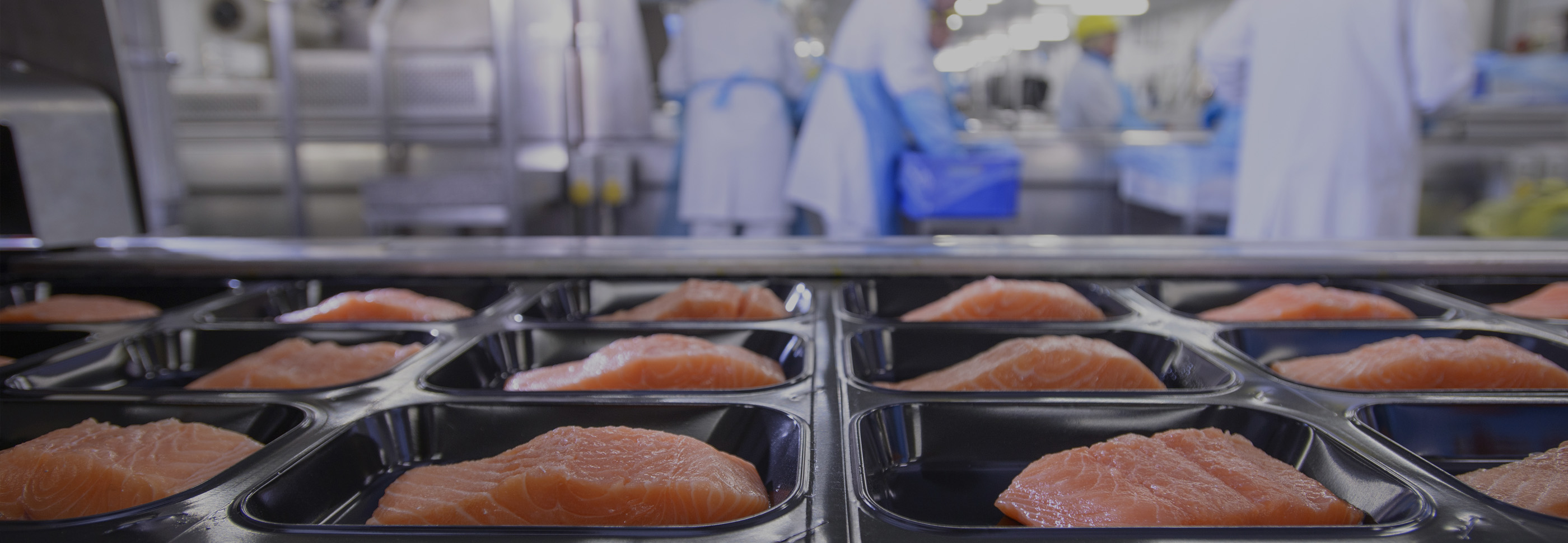Producers in the meat and fish processing industries
